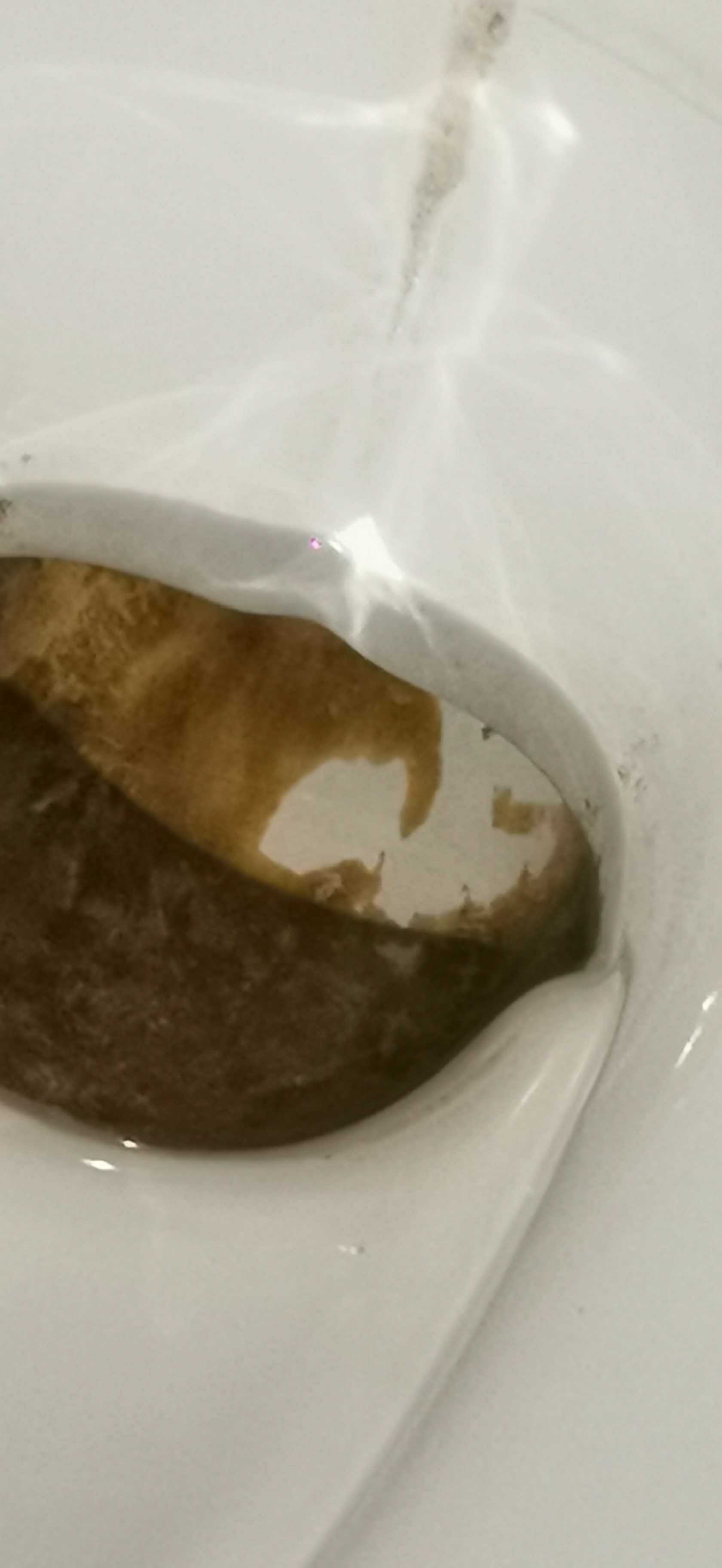 Vase de toilette sanitaire marqué par le calcaire